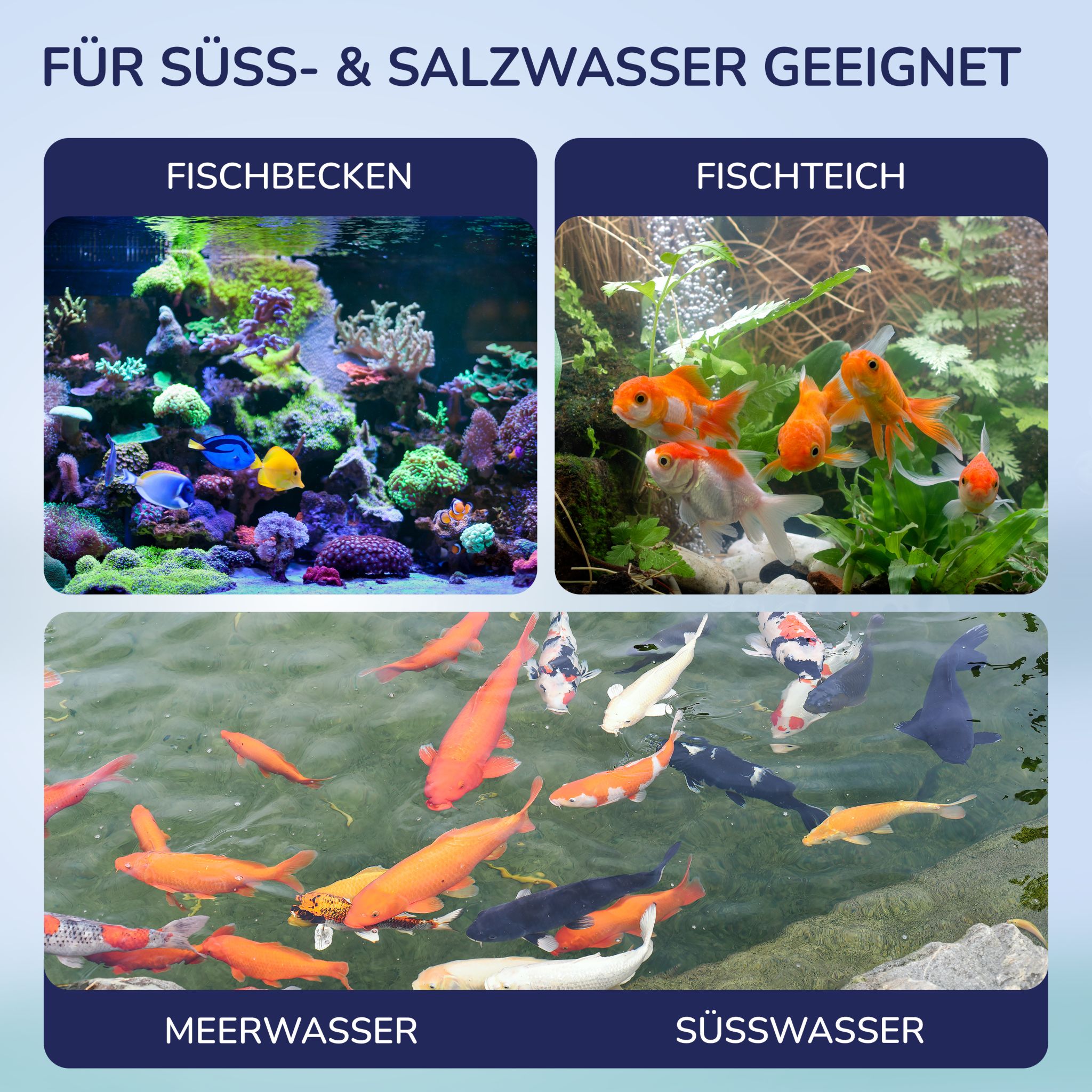 Aquanexo 5in1 Aquarium Teststreifen – Wassertest 100 Stück