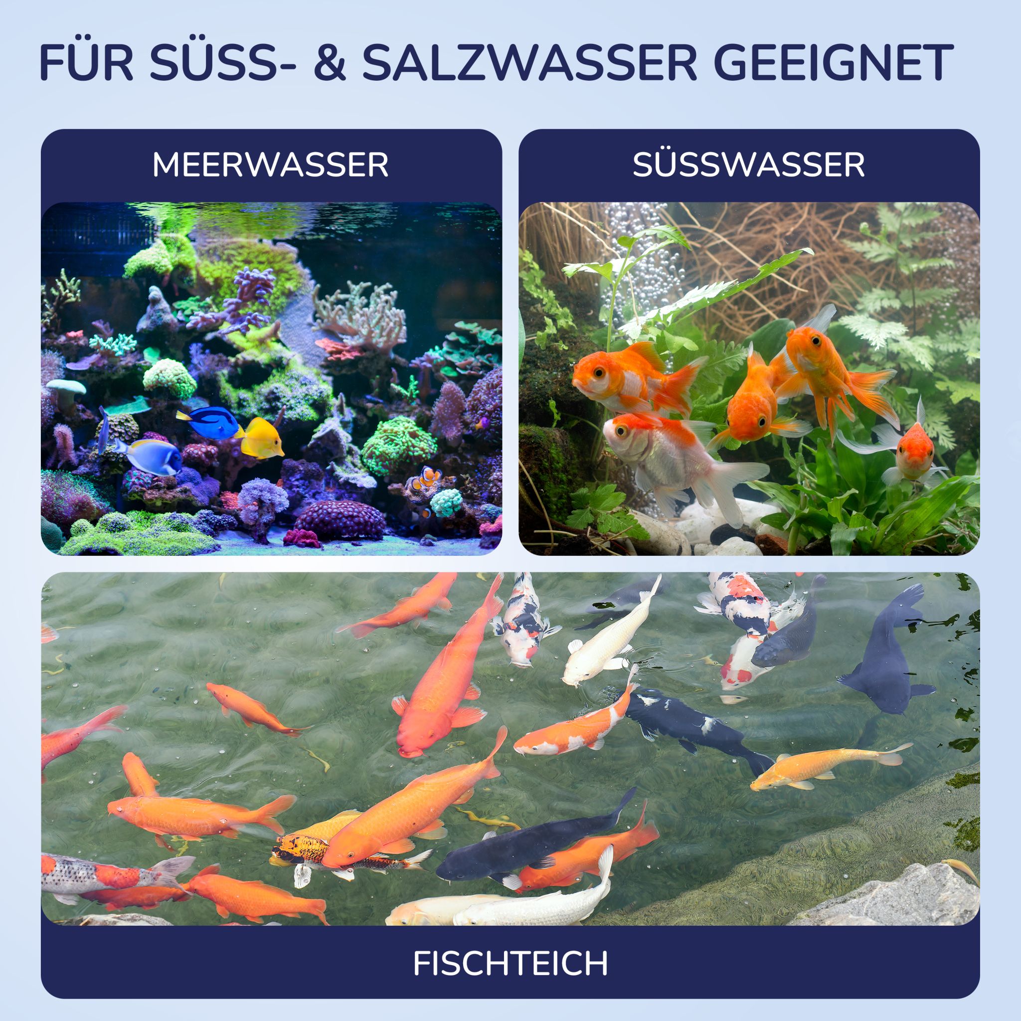 Aquanexo 7in1 Aquarium Teststreifen – Wassertest 100 Stück