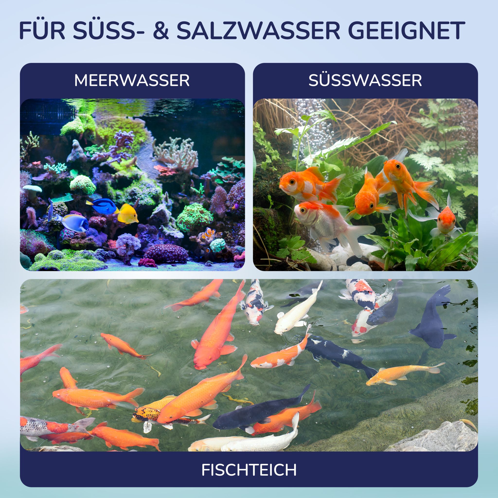 Aquanexo 7in1 Aquarium Teststreifen – Wassertest, 25 Stück